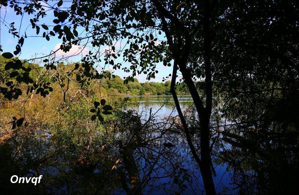 Etang Noir, Seignosse (Landes 40) AAa Promenade