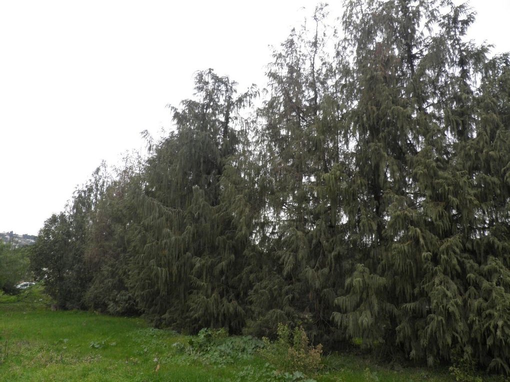 Etat des Lieux