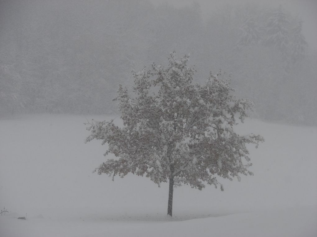 Album - Parc Reinach