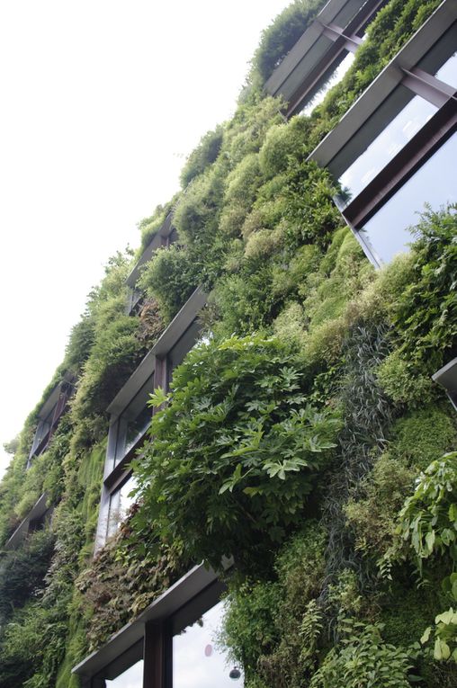 Mur végétal du quai Branly