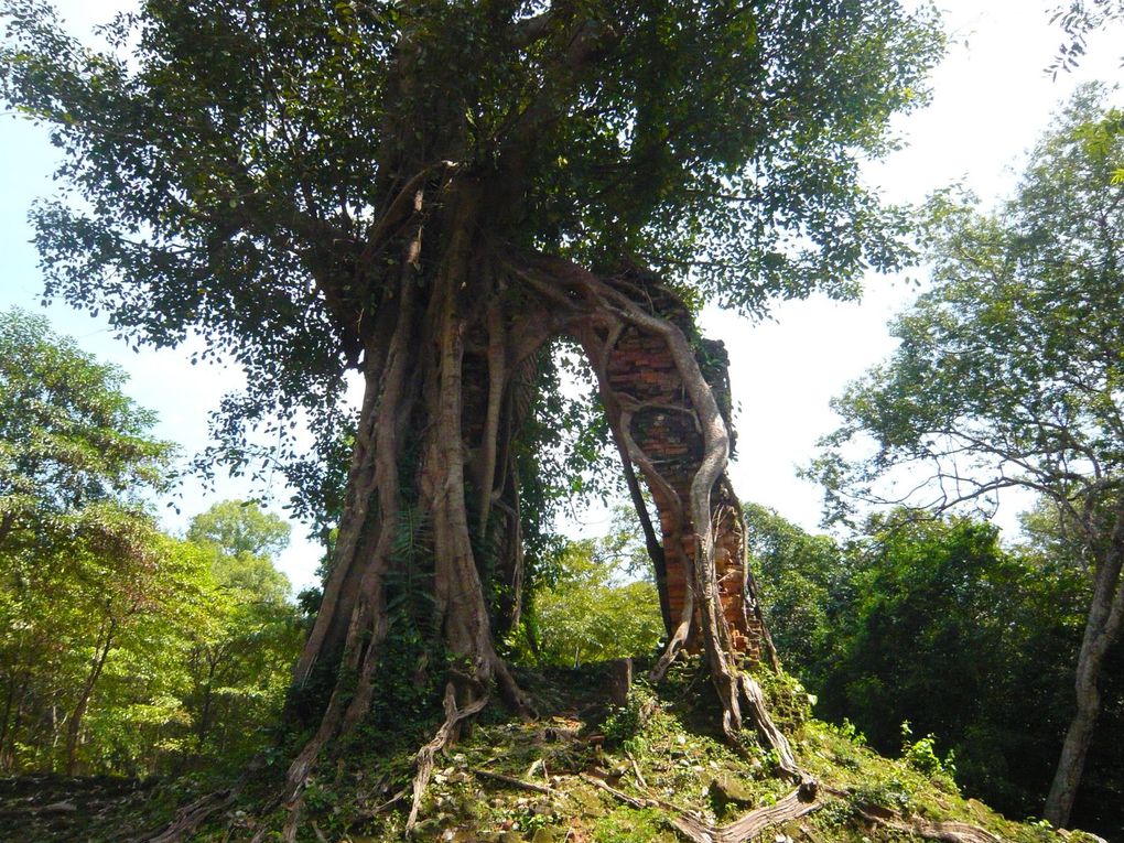 Album - Siem-Reap