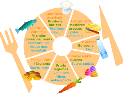 Alimentation équilibrée