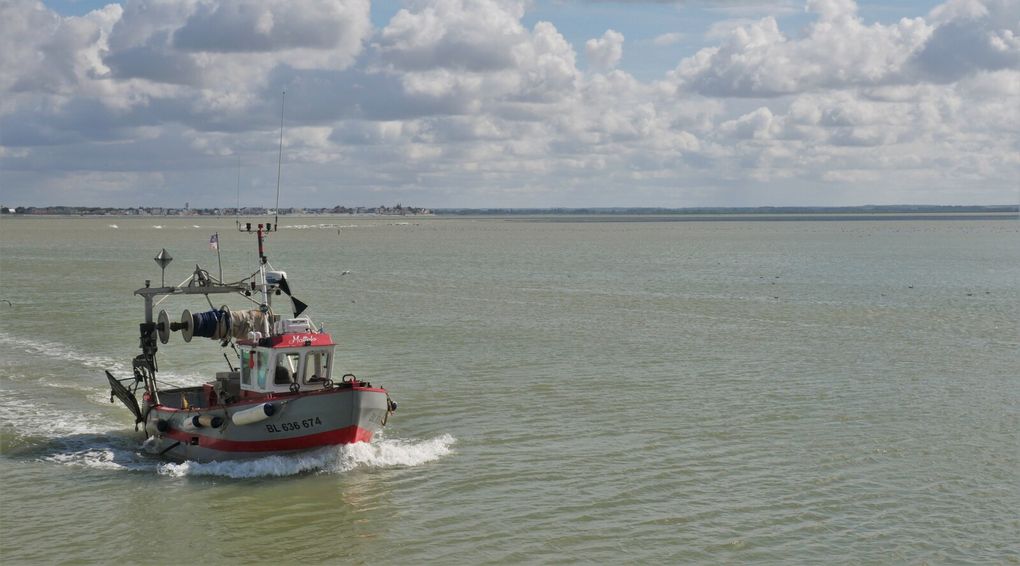 D'abord Le Hourdel et le retour des pêcheurs, puis les quais du Crotoy d'où part une longue balade qui longe le nord de la baie de Somme