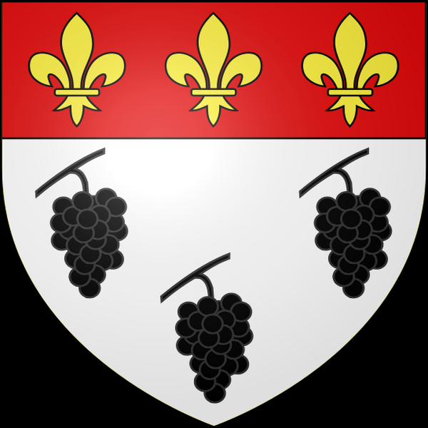 Voici quelques uns des Blasons de Haute et Basse Normandie. (Source Wikipédia)