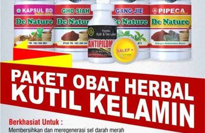 Obat Kutil Kelamin Tanpa Efek Samping 2 Oles Sembuh