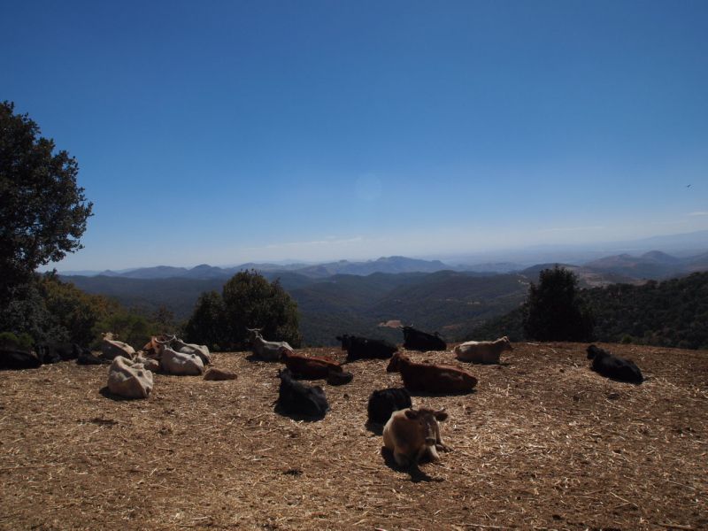 De la Basse-Californie au Chiapas, en passant par Durango, Zacatecas, Guanajuato, San Miguel de Allende, Mexico, Oaxaca et San Cristobal de las Casas.