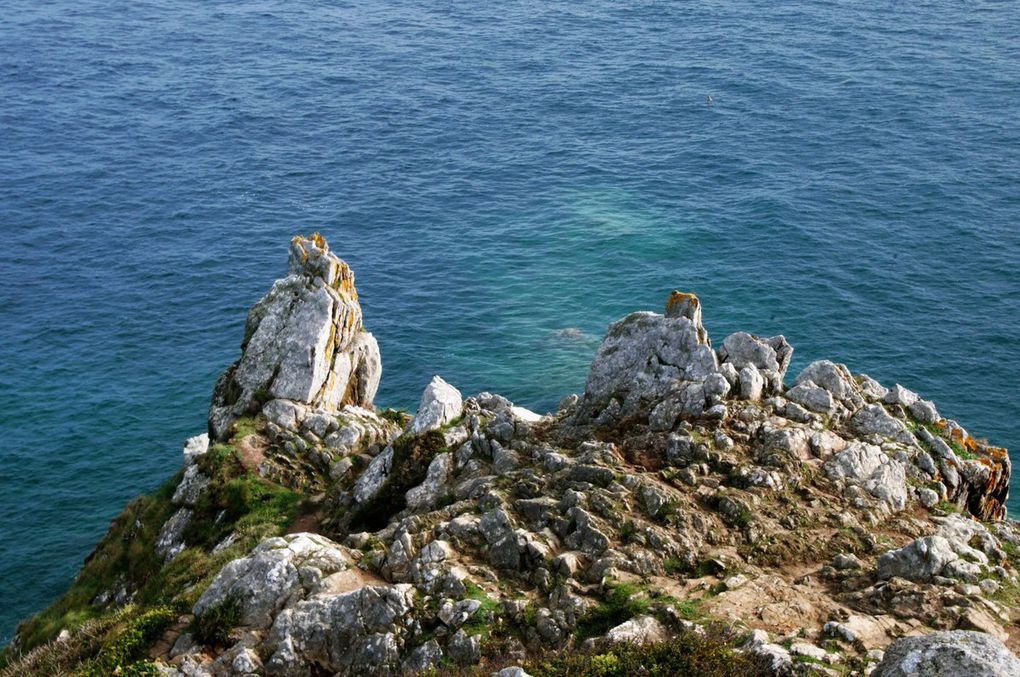 Les &quot;bancales&quot; à Cancale 