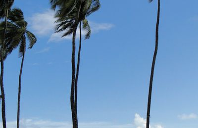 Guyane Côté Ocean