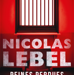 Peines perdues de Nicolas Lebel