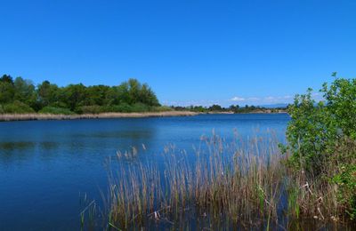 Lac des Escarcets