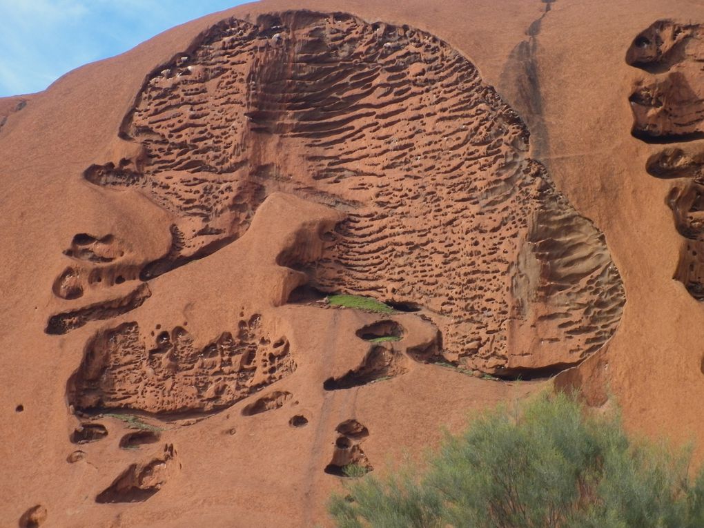 Album - Roadtrip-zum-ULURU-via-Great-Ocean-Road