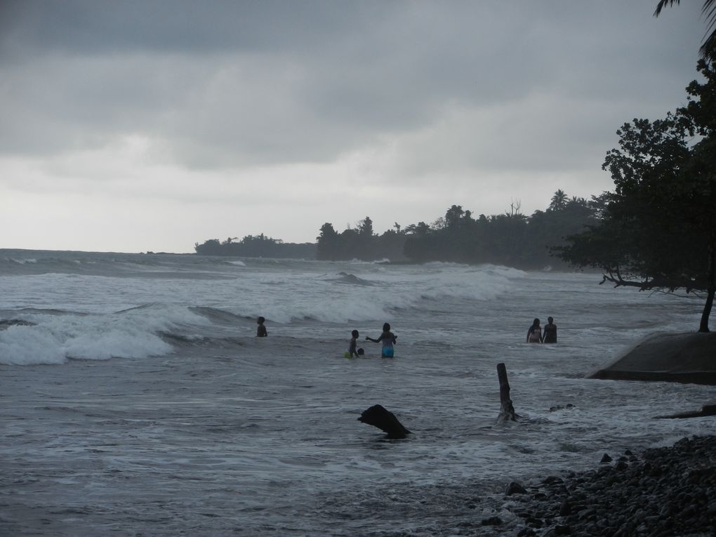 Limbé et ses plages, son parc botanique, son centre de la faune, son activité. Buea base pour le Mont Cameroun et le pont M'Fundi base pour le Nigeria