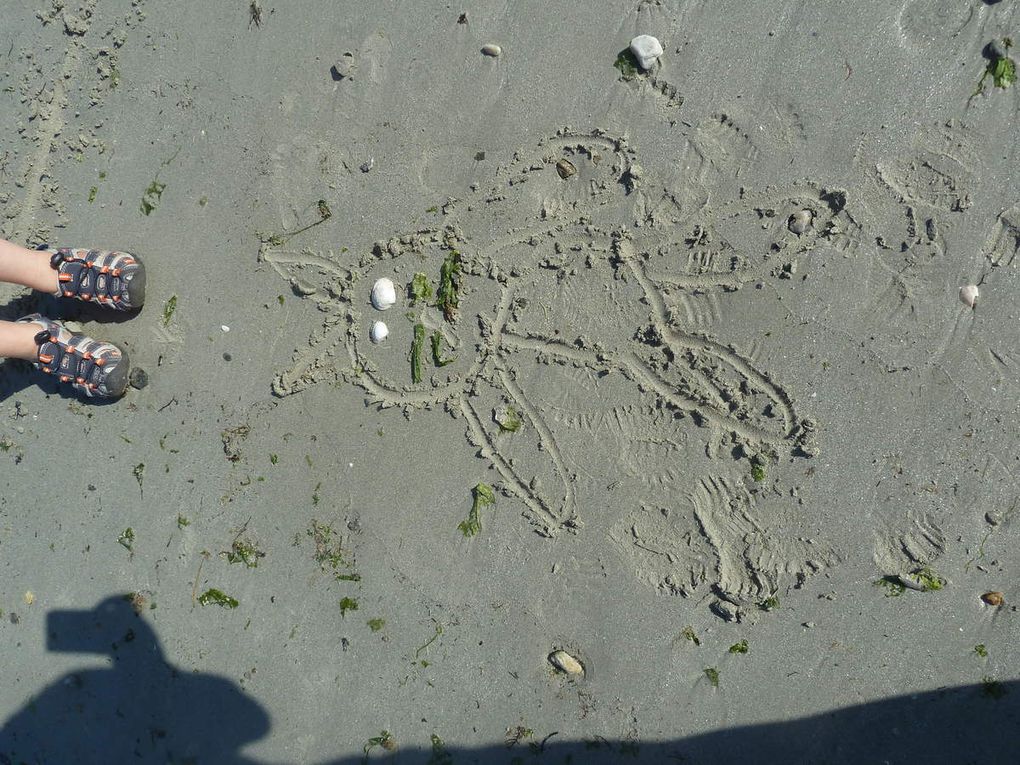 Découverte du bord de mer à Penvins (Faune, Flore et Land Art sur la plage)