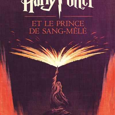 Harry Potter T.6 - Le Prince de Sang-Mêlé