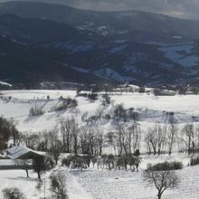 Découvrez la page Twitter de Bioécologie