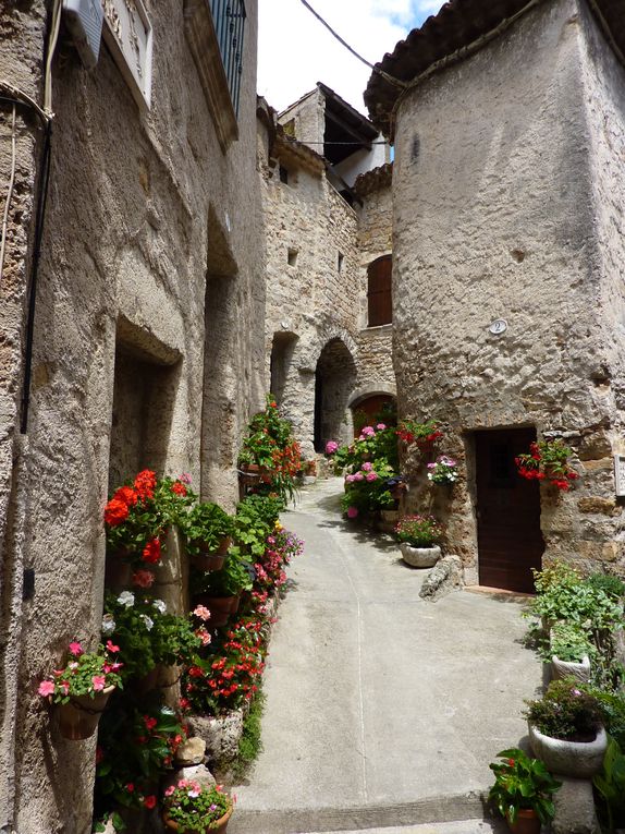 Saint-Guilhem-le-Désert est une commune de l'Hérault, il est classé parmi les plus beaux villages de France.