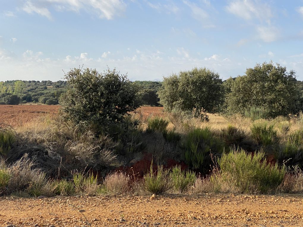 1ere étape : Astorga - Rabanal del Camino 22 Km