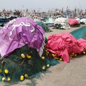 Le port de pêche de Tanger - Le blog de Bernard Moutin