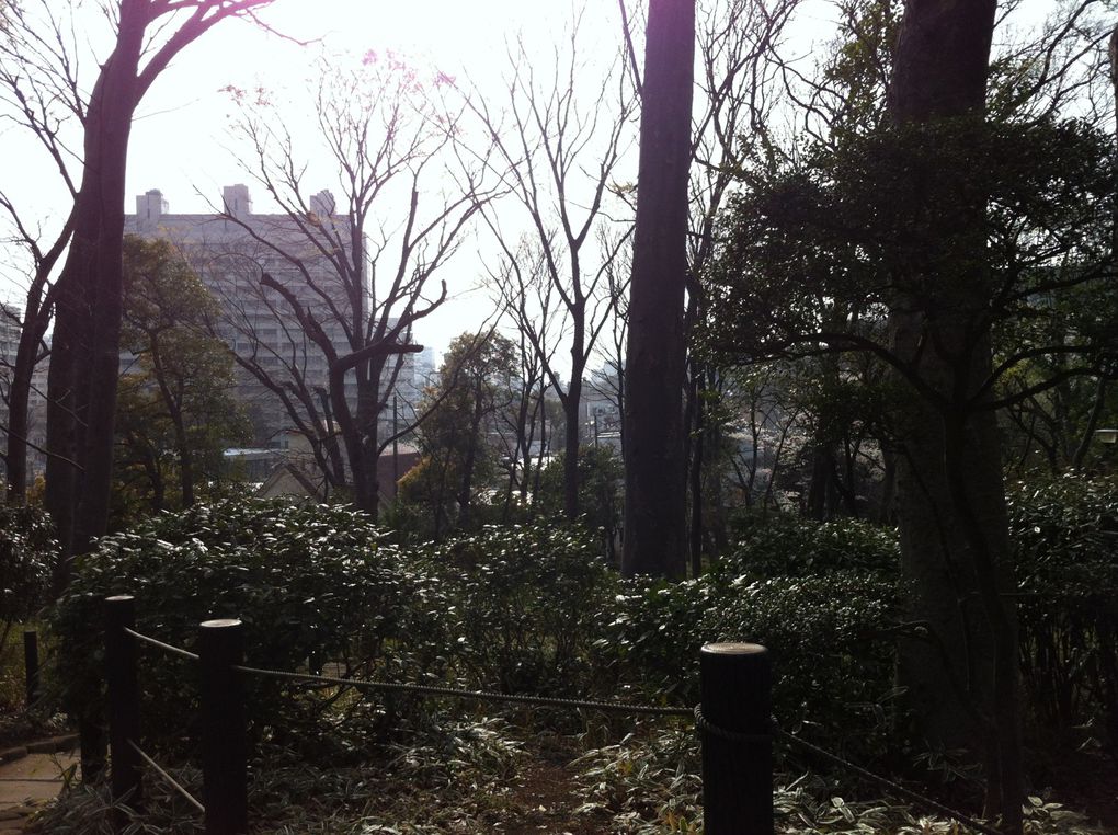 Le parc mémorial d'Arisugawa-no-miya (有栖川宮記念公園, Arisugawa Miya Kinen Kōen?) situé dans l'arrondissement de Minato à Tokyo.　Pour savoir plus de détails, voir le lien suivant. http://fr.wikipedia.org/wiki/Parc_mémorial_d'Arisuga