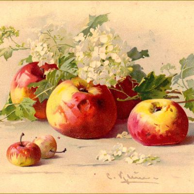 La saison des pommes par les peintres -  Catharina Klein (1861-1929) pommes