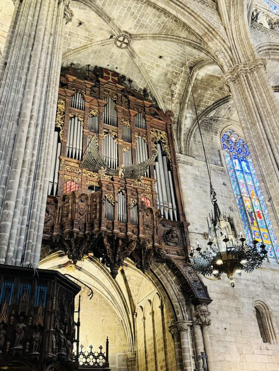 Virée dans/Volt pel Gòtic : les photos/ les fotos...