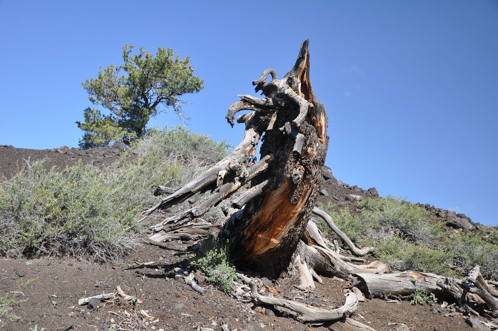 Craters of the moon