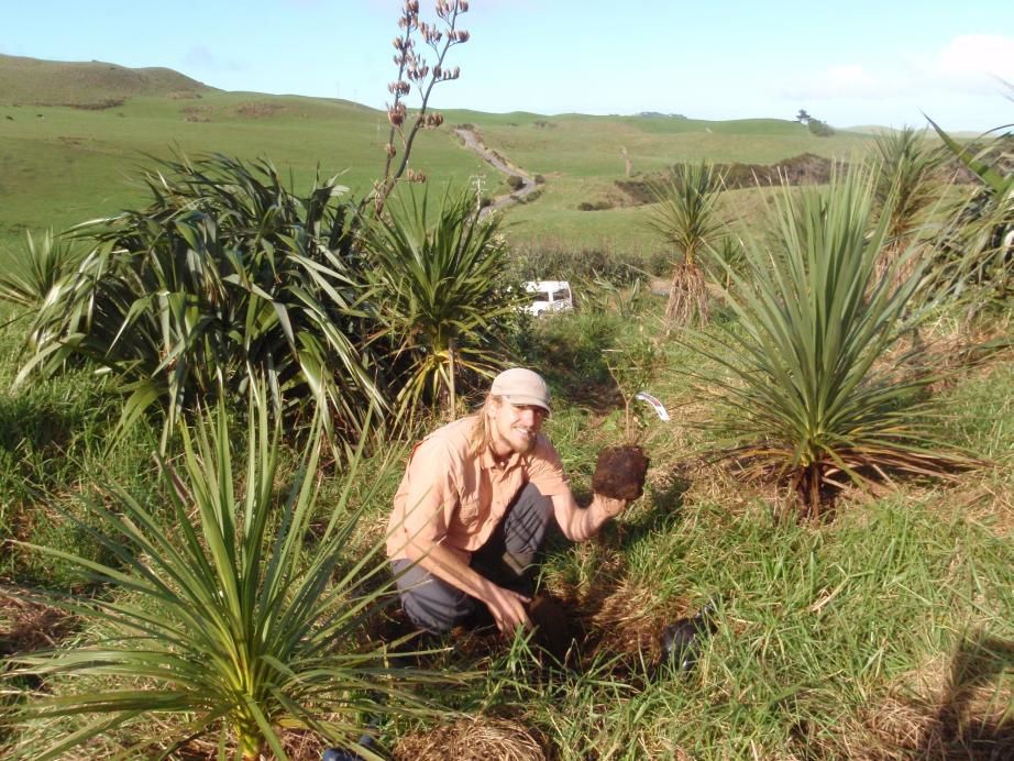 West Coast - Abel Tasman - Picton - Wellington - Taupo - Rotorua - Coromandel Peninsula - Auckland - Waiuku