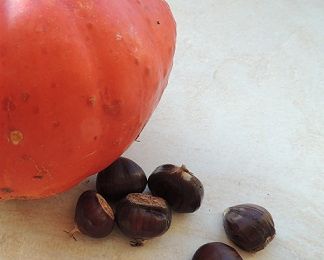 SOUPE de potiron et chataignes