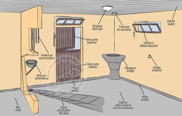 Le box, un lieu qui doit cumuler plusieurs atouts pour être digne du cheval...