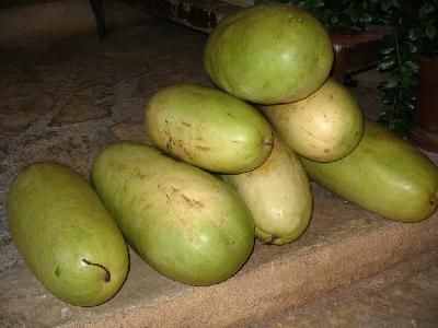 Maxi Courgette farcie aux queues de lottes