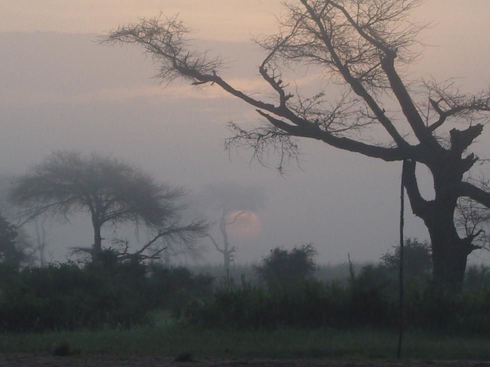 Album - Village Keur Daw Mbor