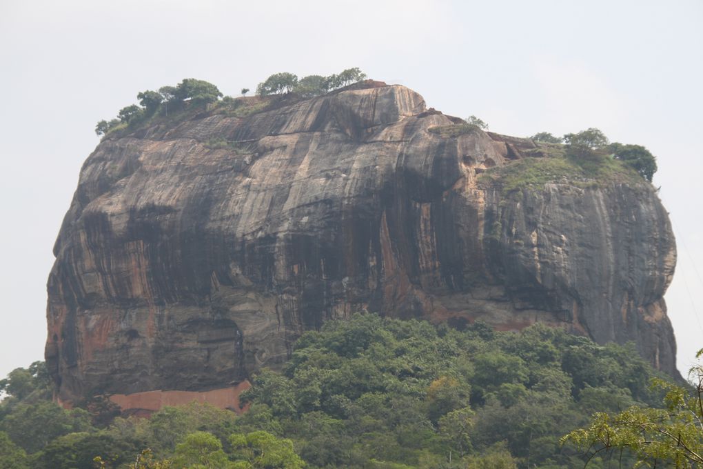 LION ROCK 

il suffit de monter qq marches et en un clin d'oeil vous voila sur le toit du monde!