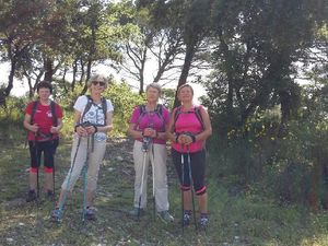 Marche nordique mardi 22, mardi 29 et samedi 02