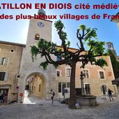 CHATILLON EN DIOIS cité médiévale et viticole du sud Vercors "Un des plus beaux villages de France"