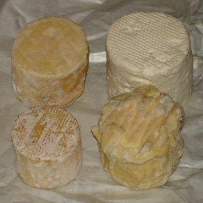 Recette : comment faire du fromage de chèvre ? (étapes pas à pas)