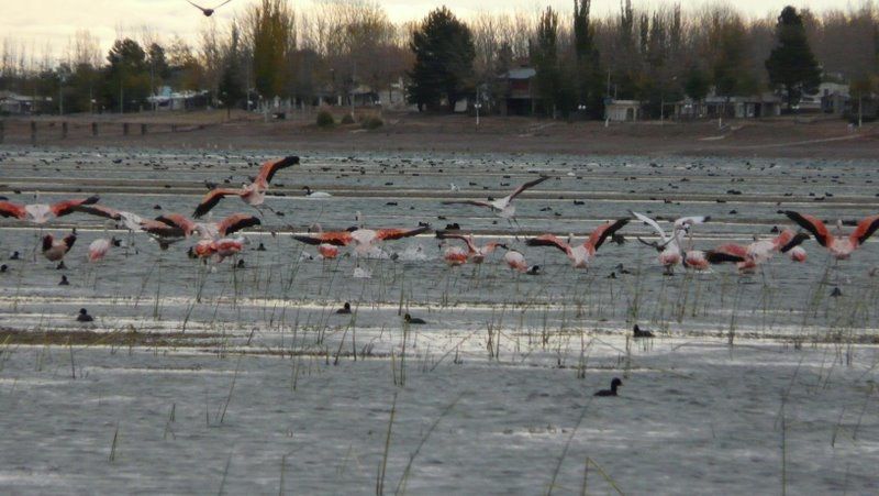 Album - Trip-en-voiture-Mendoza-suite