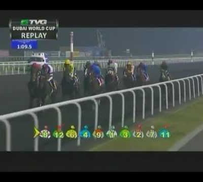 Dubaï World Cup 2013 : Animal Kingdom
