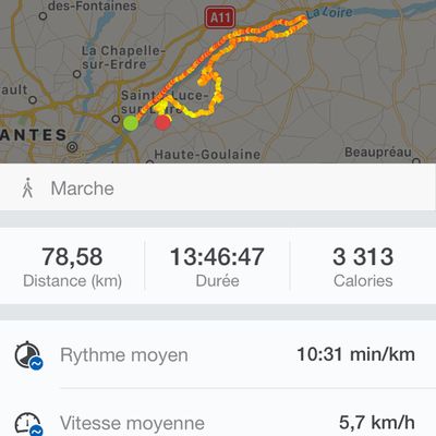 Ca y est nous sommes prêt Rapport de La 4ème Session 