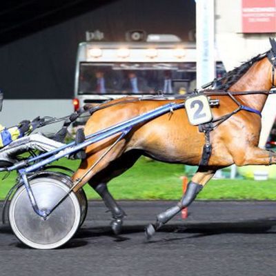 50 Chevaux à suivre pour le meeting de Vincennes 2018/2019