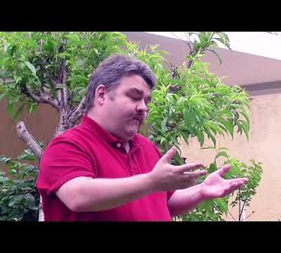 Aux amateurs de lyrisme, voici un hommage sur le peuple noir... https://youtu.be/gvc_l9aTB70