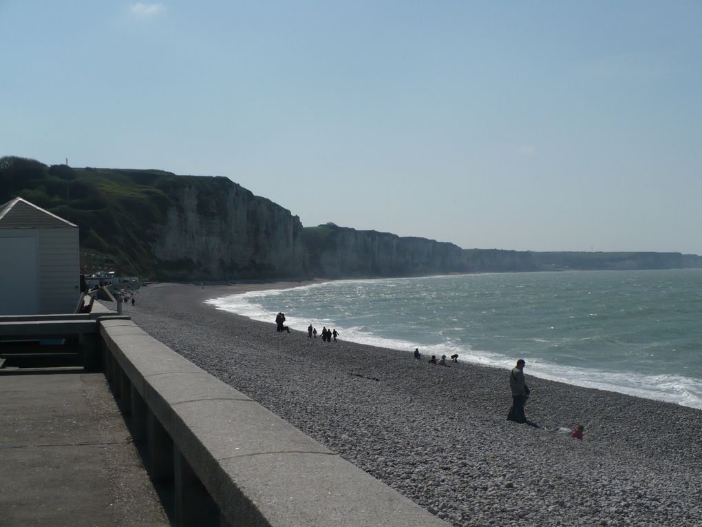 La côte d'Albâtre