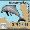 Mammifères marins : le réseau d'observateurs d'Ille et Vilaine est né!