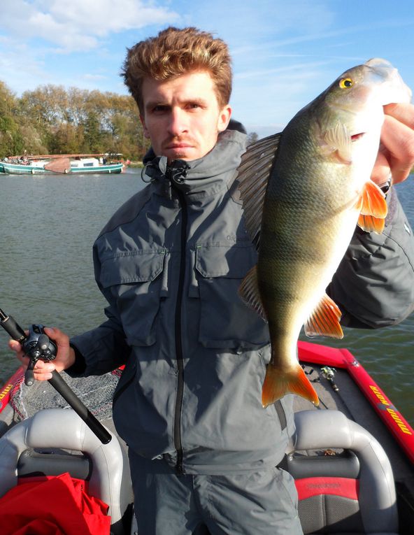 Quelques belles perches, mais manque de gros poisson par manque de protection... Pas de photo de notre record (49cm).