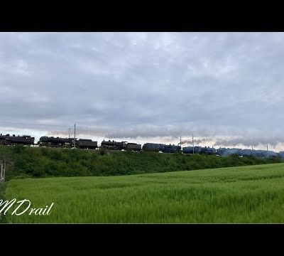 Festival vapeur 2023 sur le site de l'AJECTA à Longueville (77)