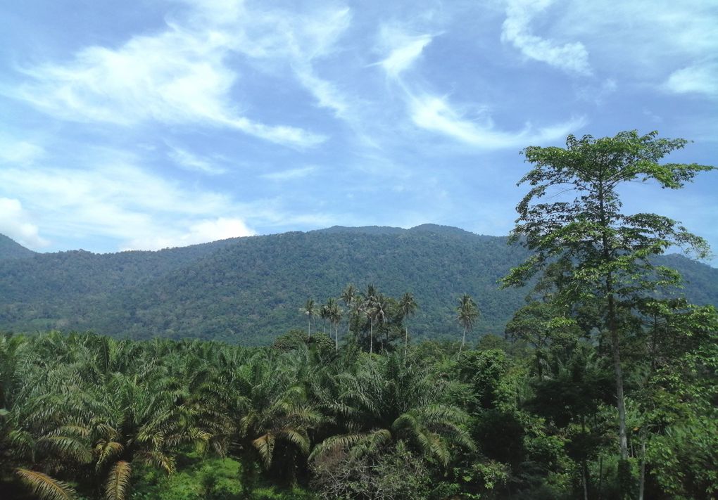 De retour sur l'île de Langkawi... bientôt la Thaïlande, qui est toute proche !!! :-)) 