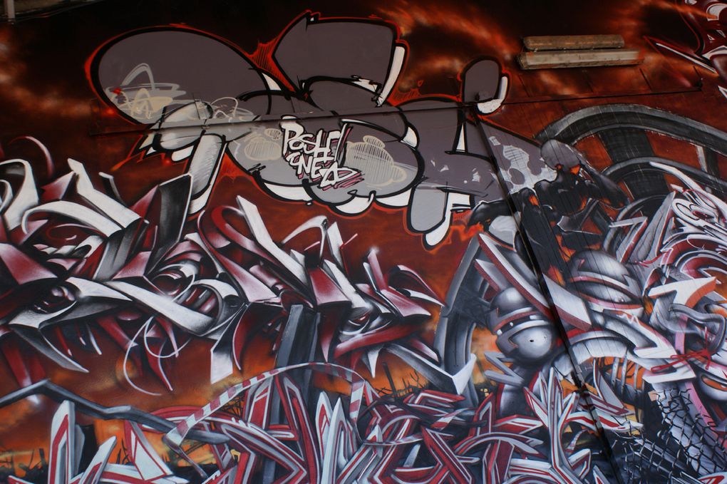 Album - Graffitis-Toulouse-tom-002