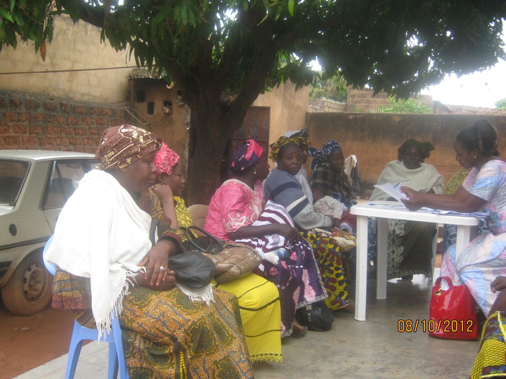 Activités du programme de microcrédits de développement des AGR de la Fondation Wurodini Service (FWS) à Bobo-Dioulasso.