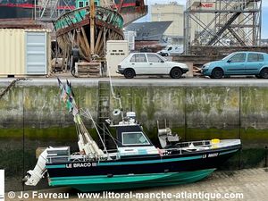 LE BRACO III  LS.866252