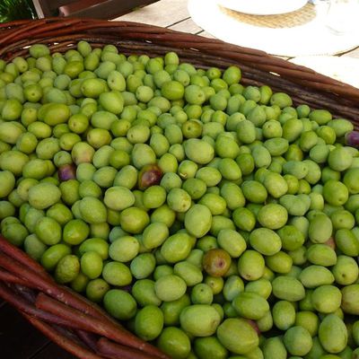 Olives vertes lactofermentées PAS à PAS...