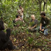 A voir ce mercredi soir : Muriel Robin et Chanee sur la terre des bonobos.